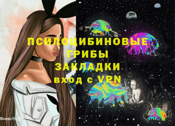 круглые Алексеевка