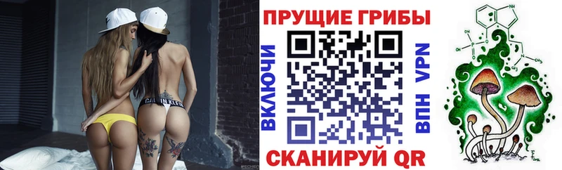 Галлюциногенные грибы Cubensis  блэк спрут ONION  Покачи  купить закладку 